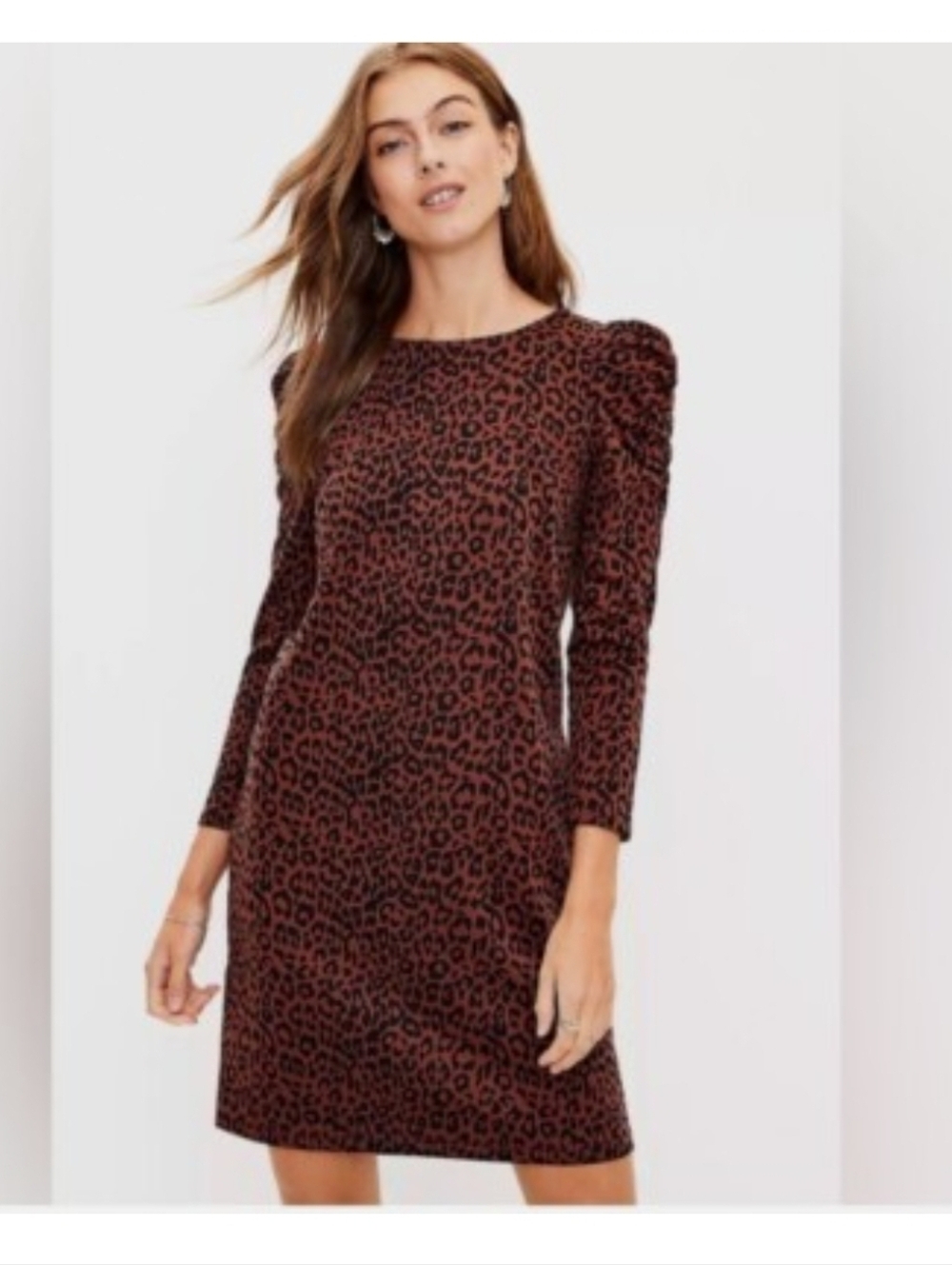 LOFT Leopard Print Ruched Sleeve Shift Dress